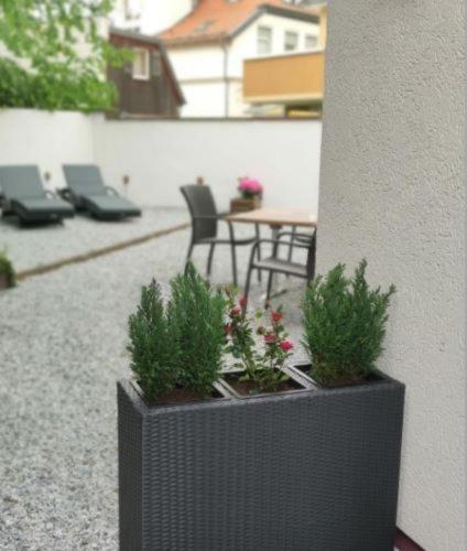 REGIOHOTEL am Kurpark Bad Harzburg Dış mekan fotoğraf