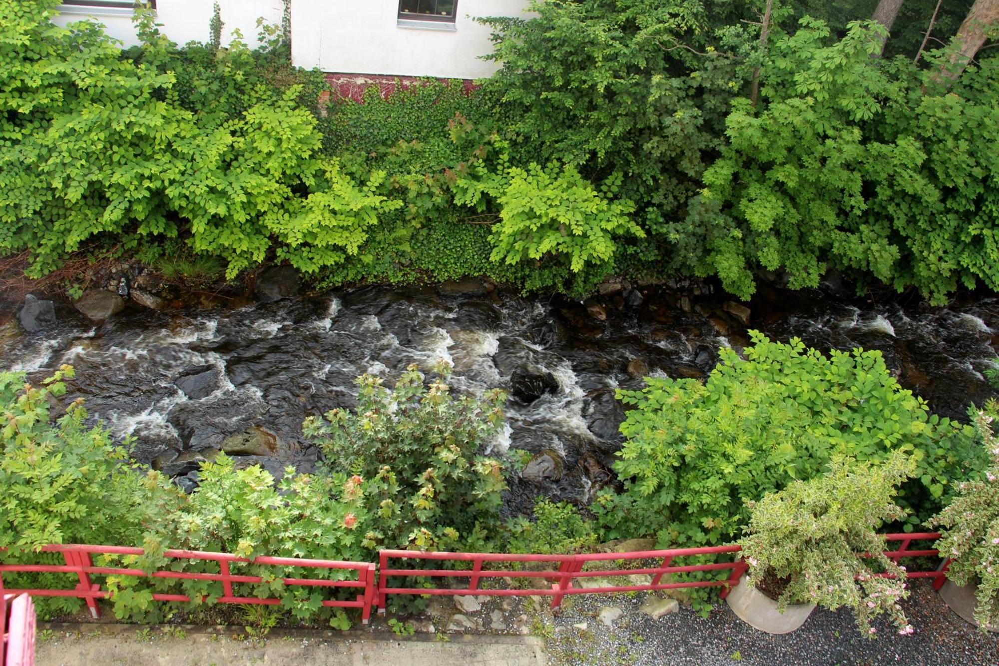 REGIOHOTEL am Kurpark Bad Harzburg Dış mekan fotoğraf